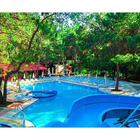 Festival Nature Hotel Kemer Dış mekan fotoğraf