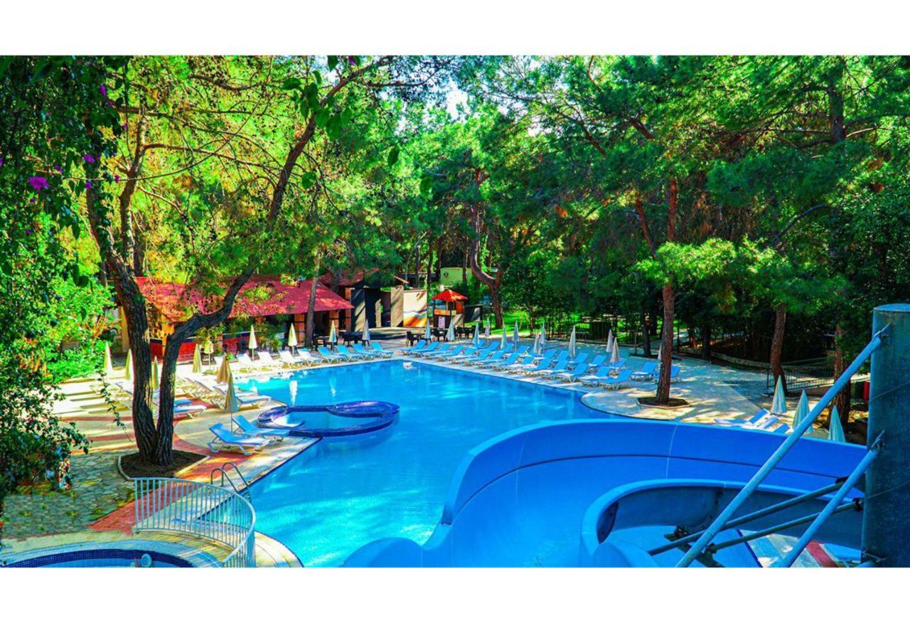 Festival Nature Hotel Kemer Dış mekan fotoğraf