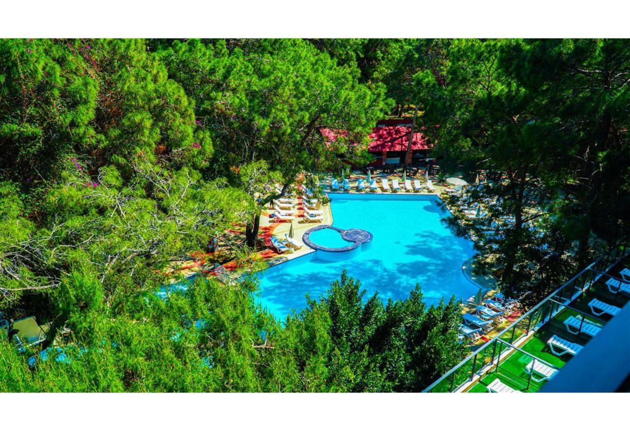 Festival Nature Hotel Kemer Dış mekan fotoğraf